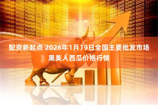 配资新起点 2026年1月19日全国主要批发市场黑美人西瓜价格行情