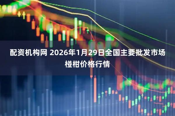 配资机构网 2026年1月29日全国主要批发市场椪柑价格行情